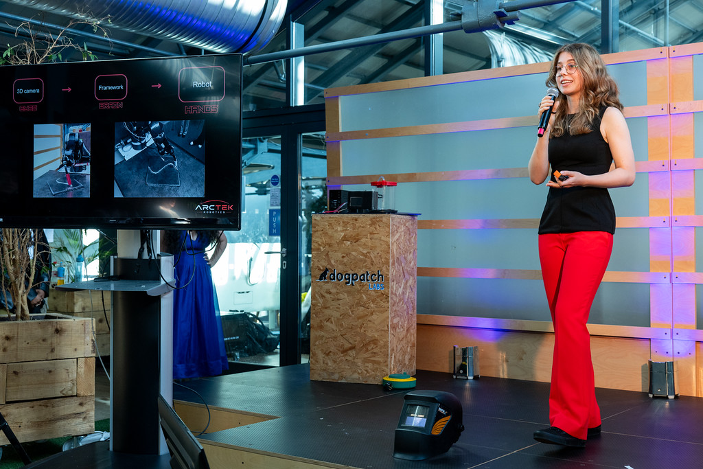 Demonstrating the vision system